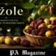 žižole: The Ancient Fruit Tree Returning to Modern Tables