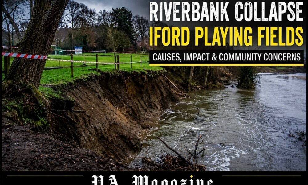 riverbank collapse iford playing fields Sparks Safety Debate